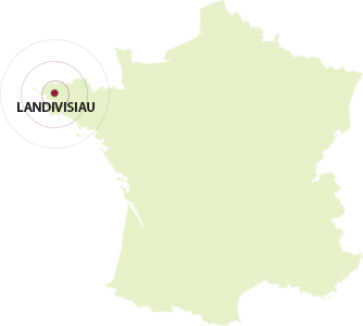 carte carte